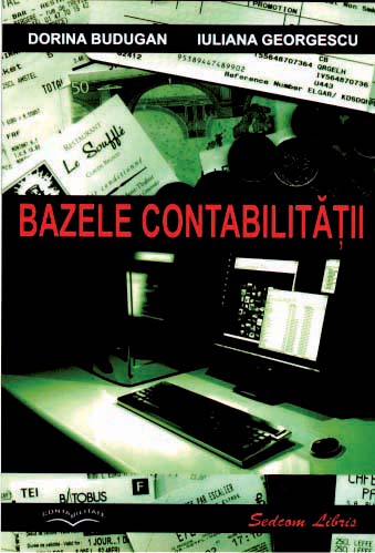 Bazele contabilitatii
